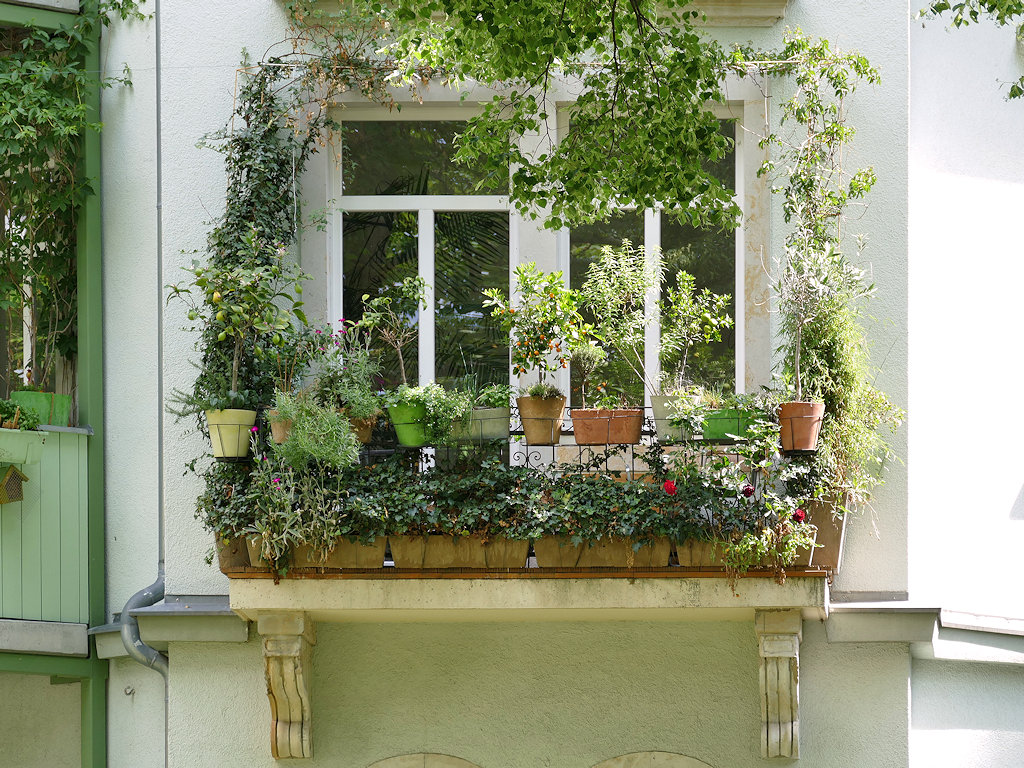 Pflanzenvielfalt Balkon