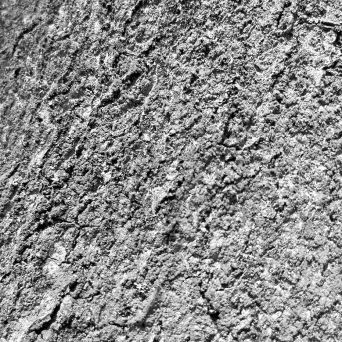 Schwarz-Weiss Foto von einem Stück rauer Baumrinde