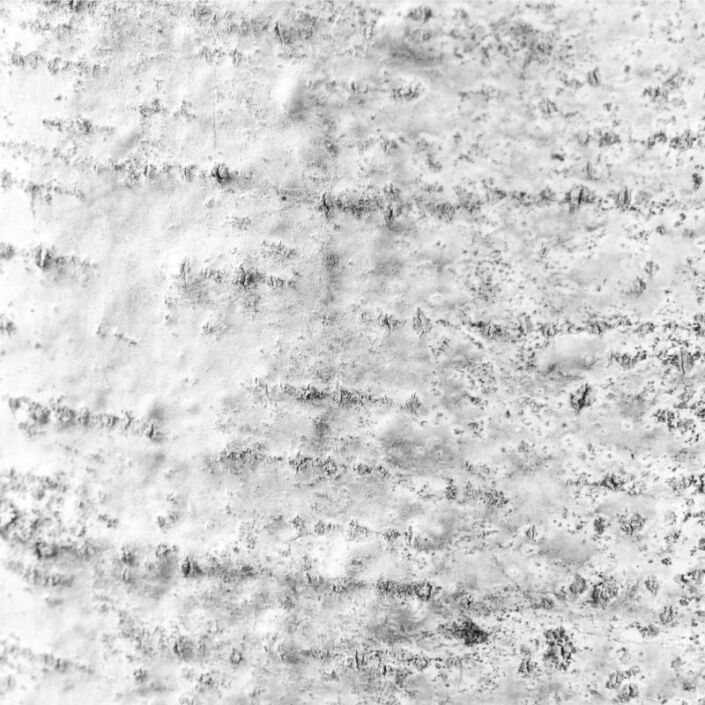 Schwarz-Weiss Foto von einem Stück Birkenrinde